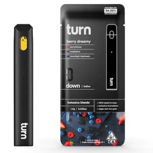 Buy turn disposable Berry Dreamy Indica 1Gram Online